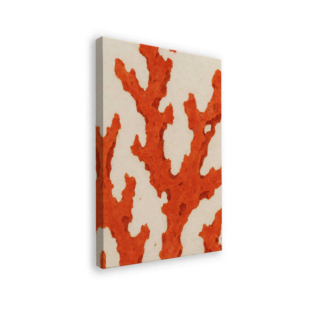 Coral Dreams