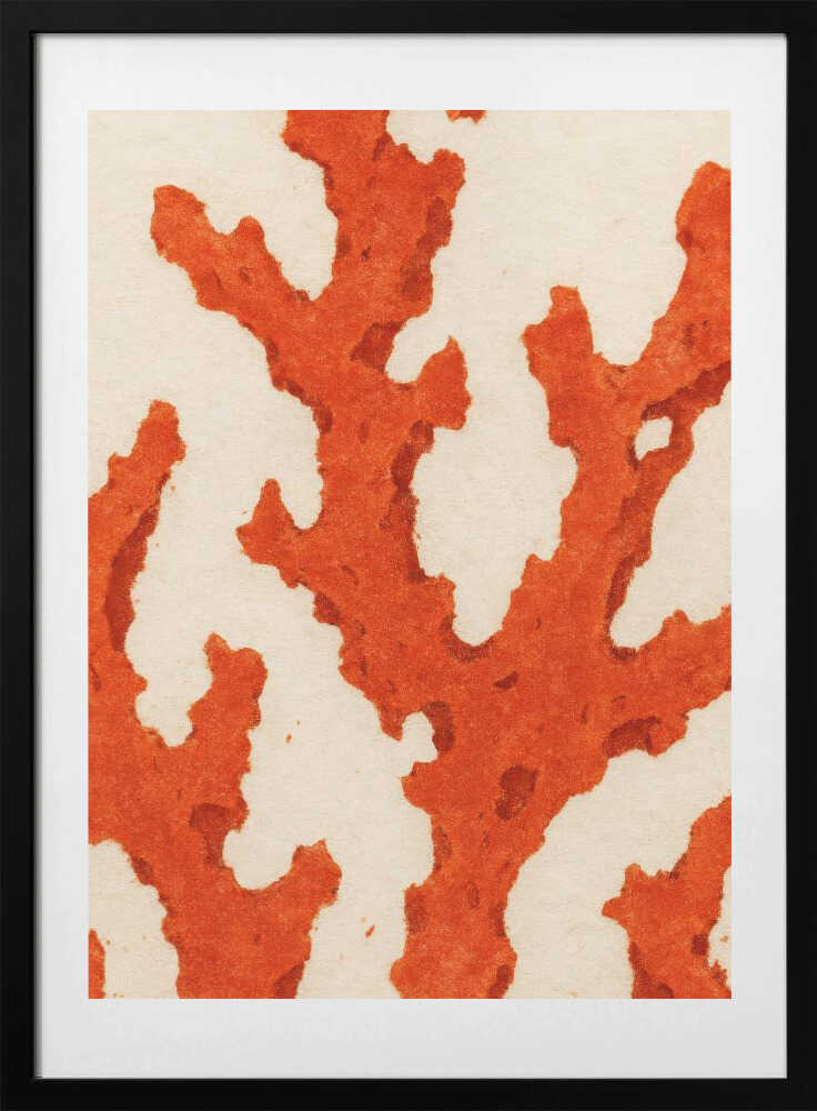 Coral Dreams