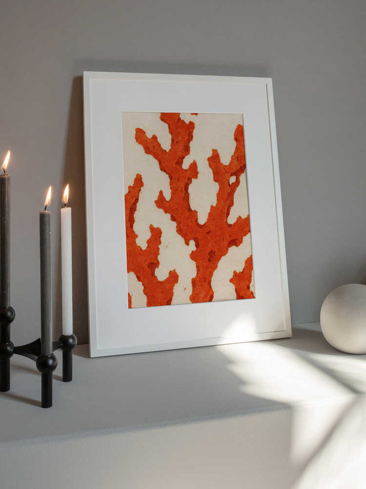 Coral Dreams