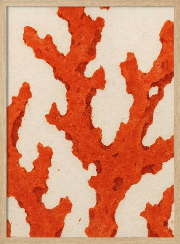 Coral Dreams