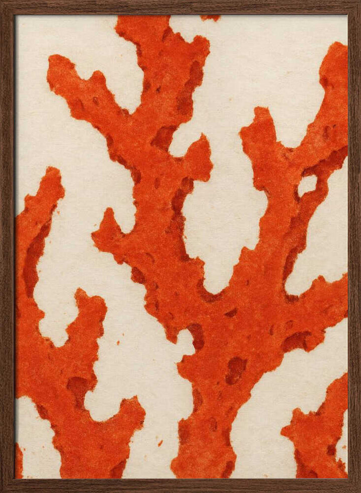 Coral Dreams
