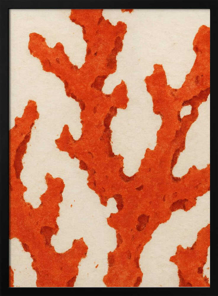 Coral Dreams