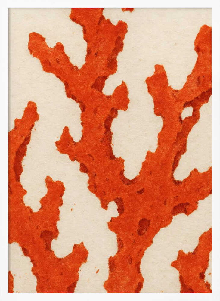 Coral Dreams