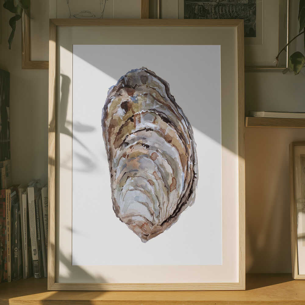 Oyster's Elegance