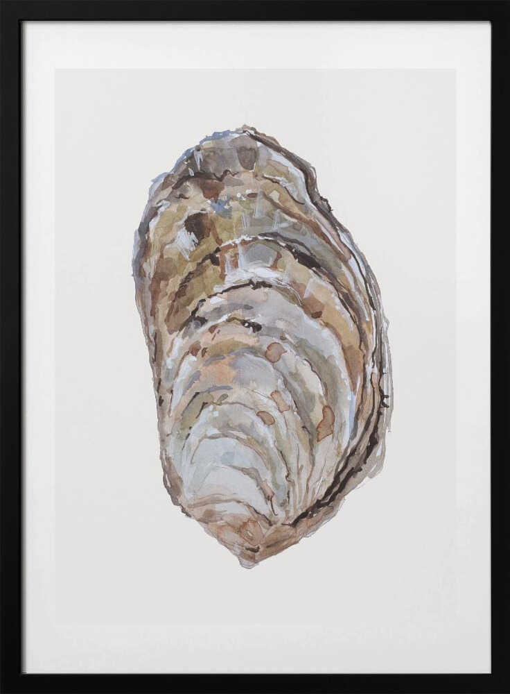 Oyster's Elegance
