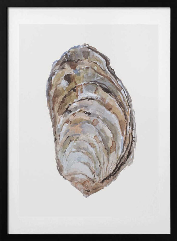 Oyster's Elegance