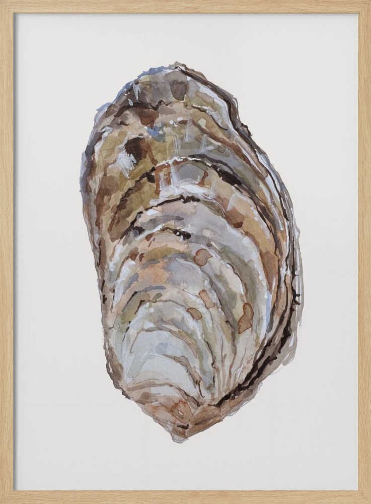 Oyster's Elegance