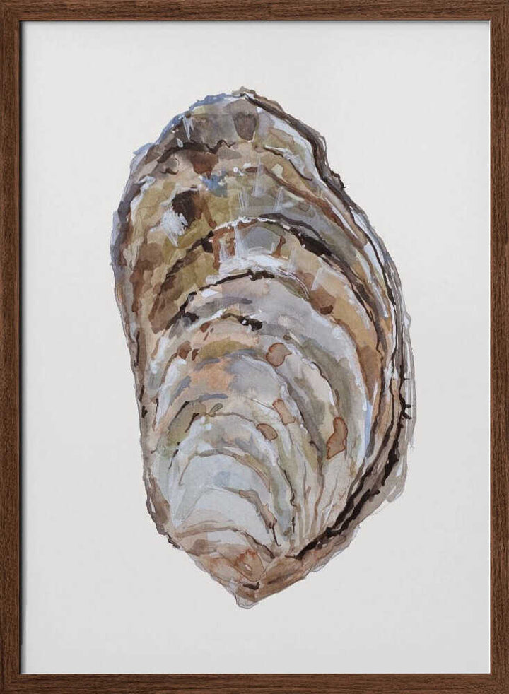 Oyster's Elegance