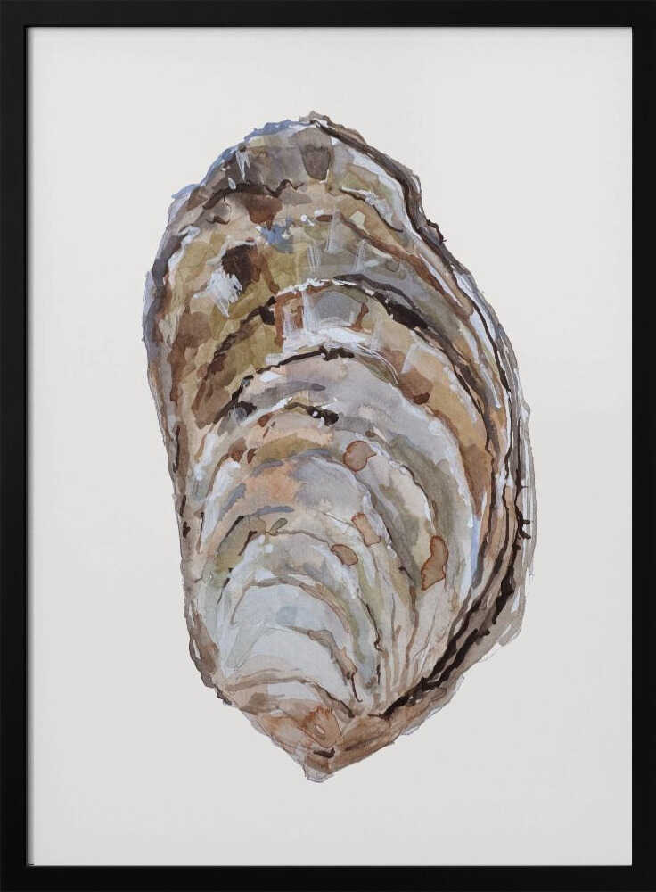 Oyster's Elegance