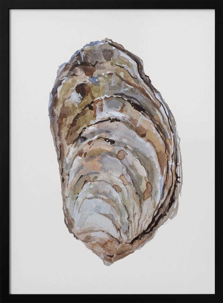 Oyster's Elegance