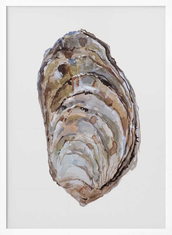 Oyster's Elegance