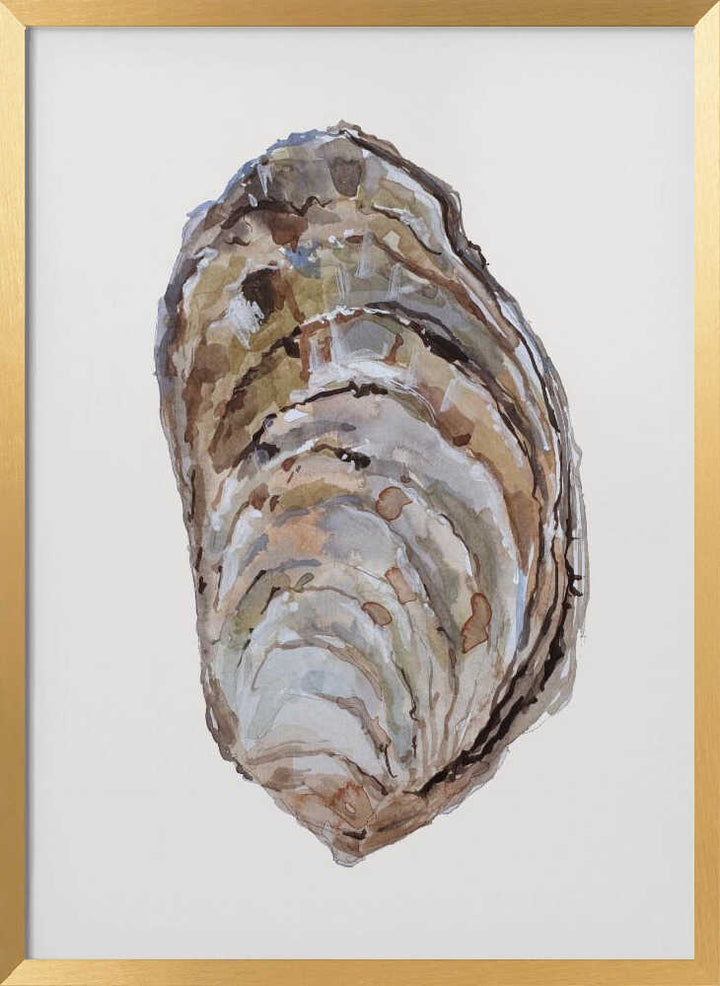 Oyster's Elegance