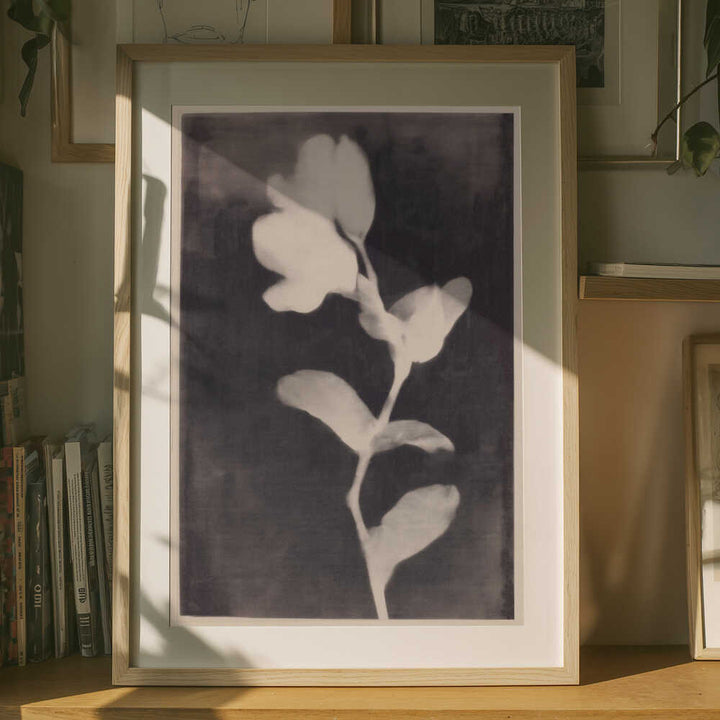 Fadedbloom