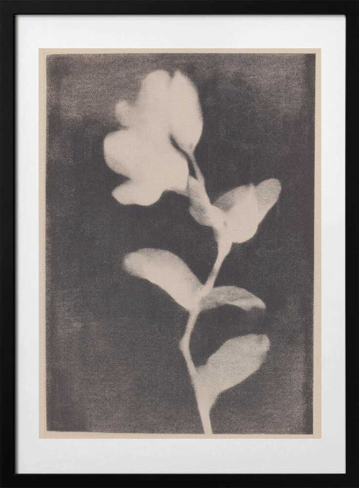 Fadedbloom