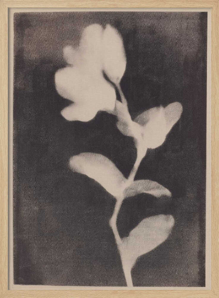 Fadedbloom