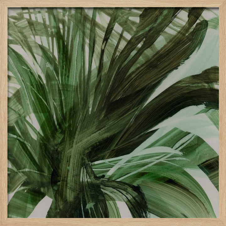 "Palms" by Dan Hobday — Botanical Wall Art