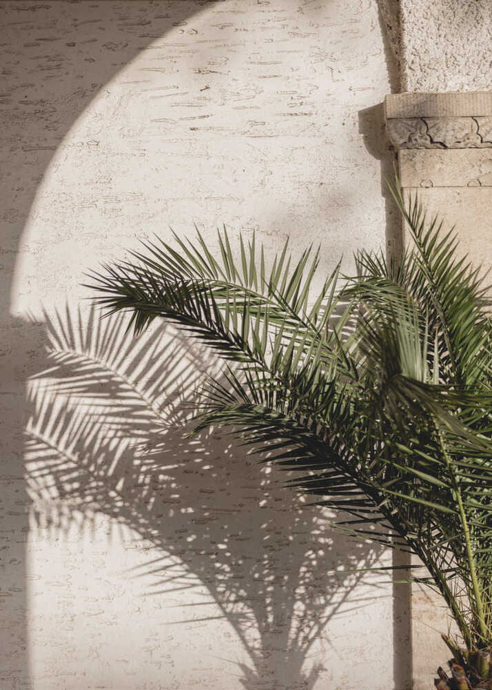 Arched Light 2
