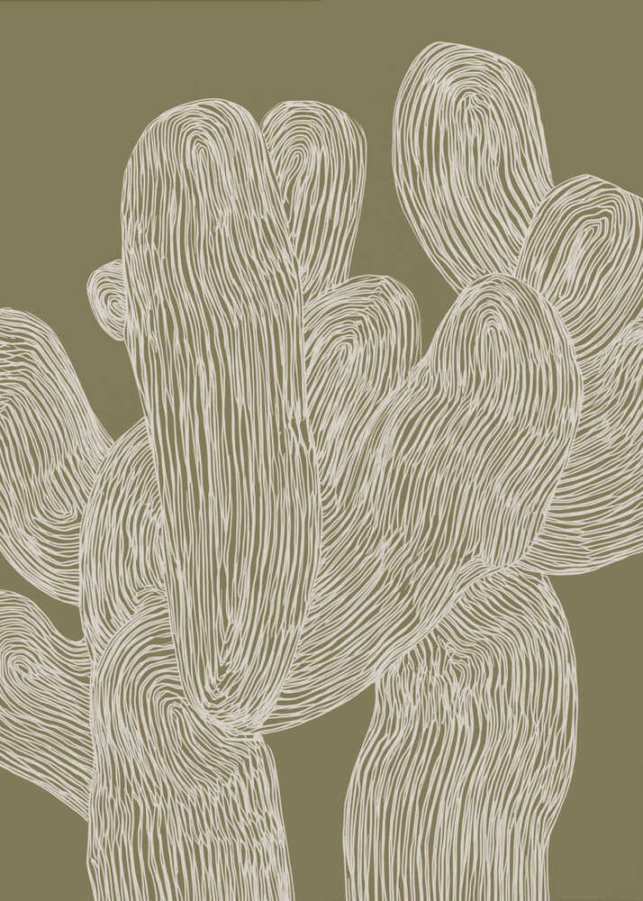 Desertlines