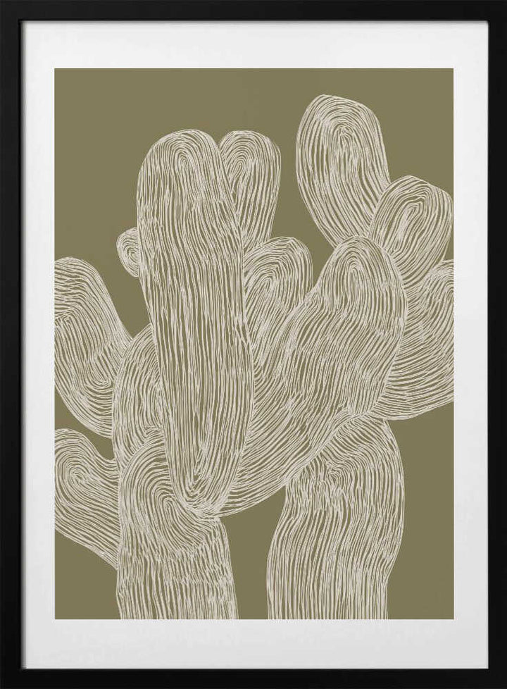 Desertlines