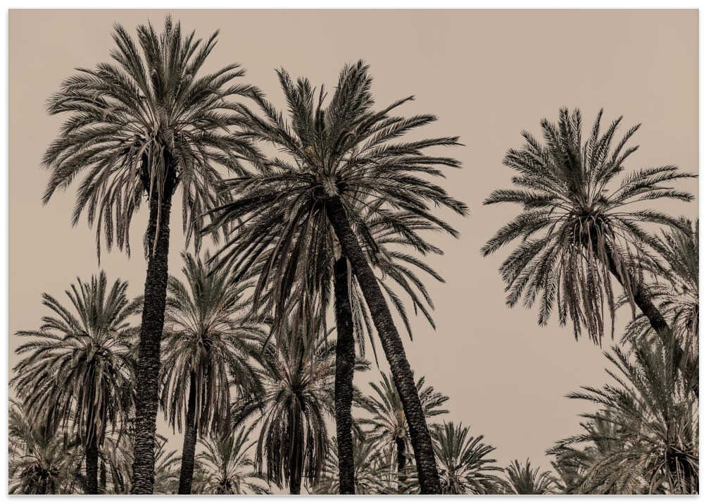 Sicilian Memories 15