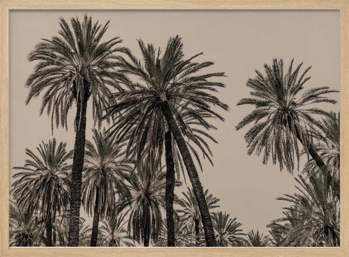 Sicilian Memories 15