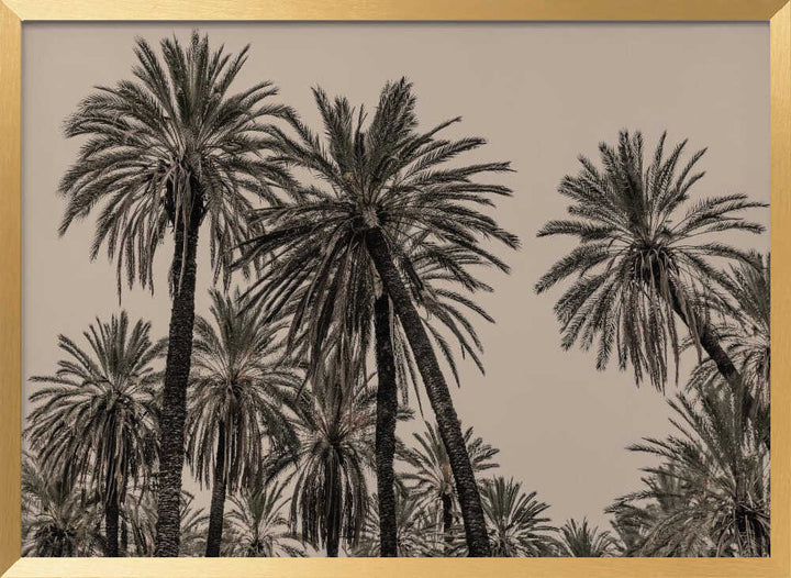 Sicilian Memories 15