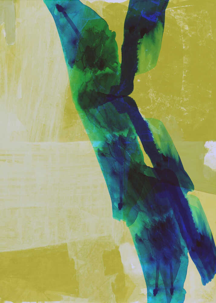 Organic Color Flow