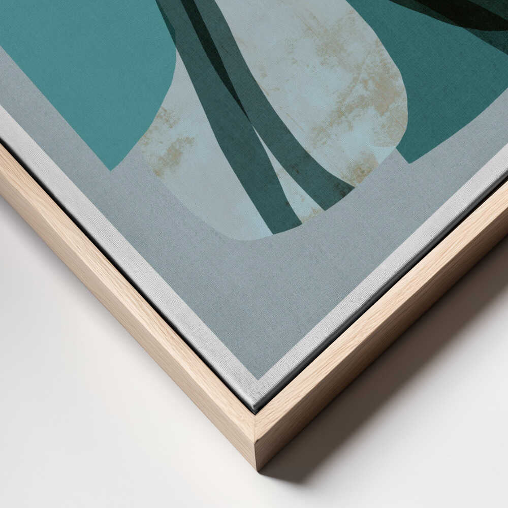 Soft Organic Shapes