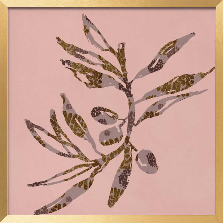 Softsesonno01