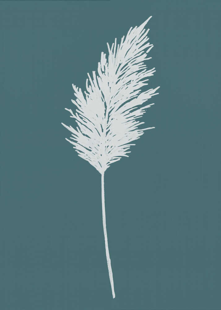 Elegant Pampas Plume