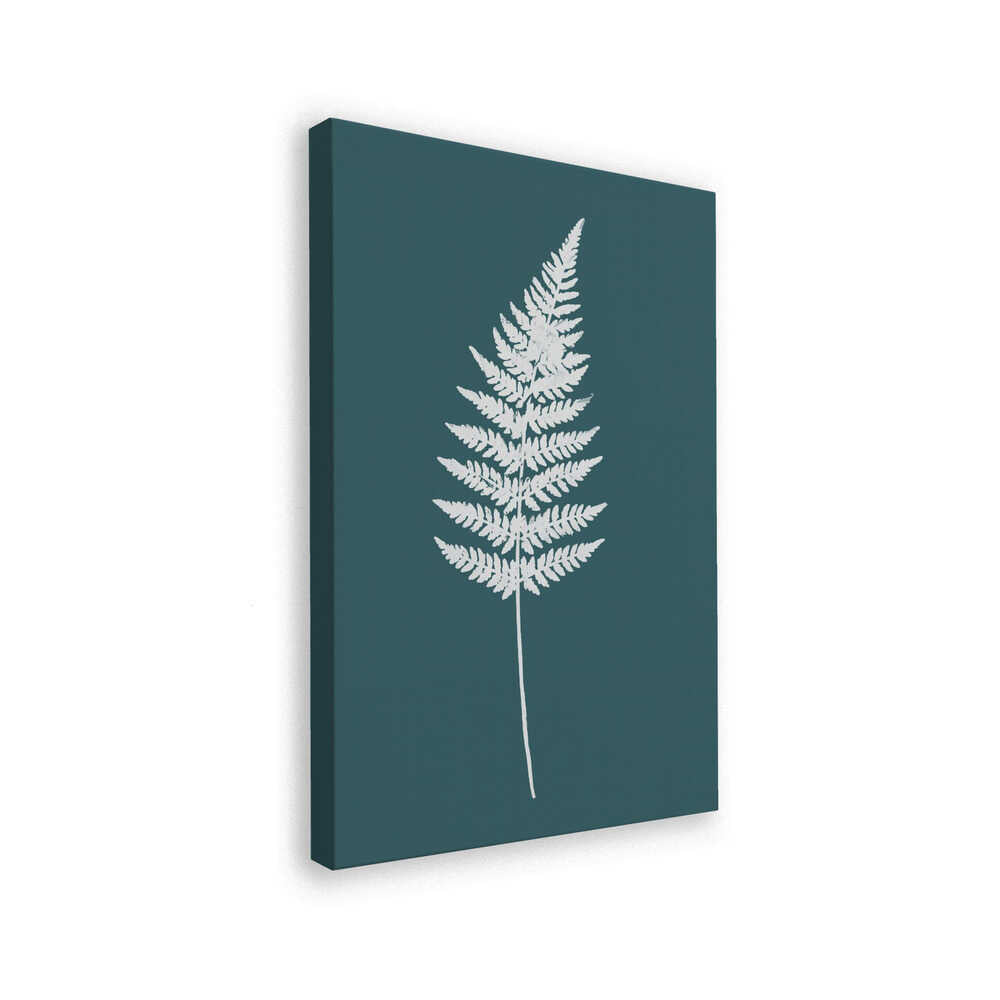 Elegant White Fern