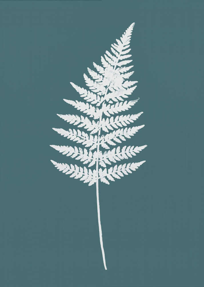 Elegant White Fern