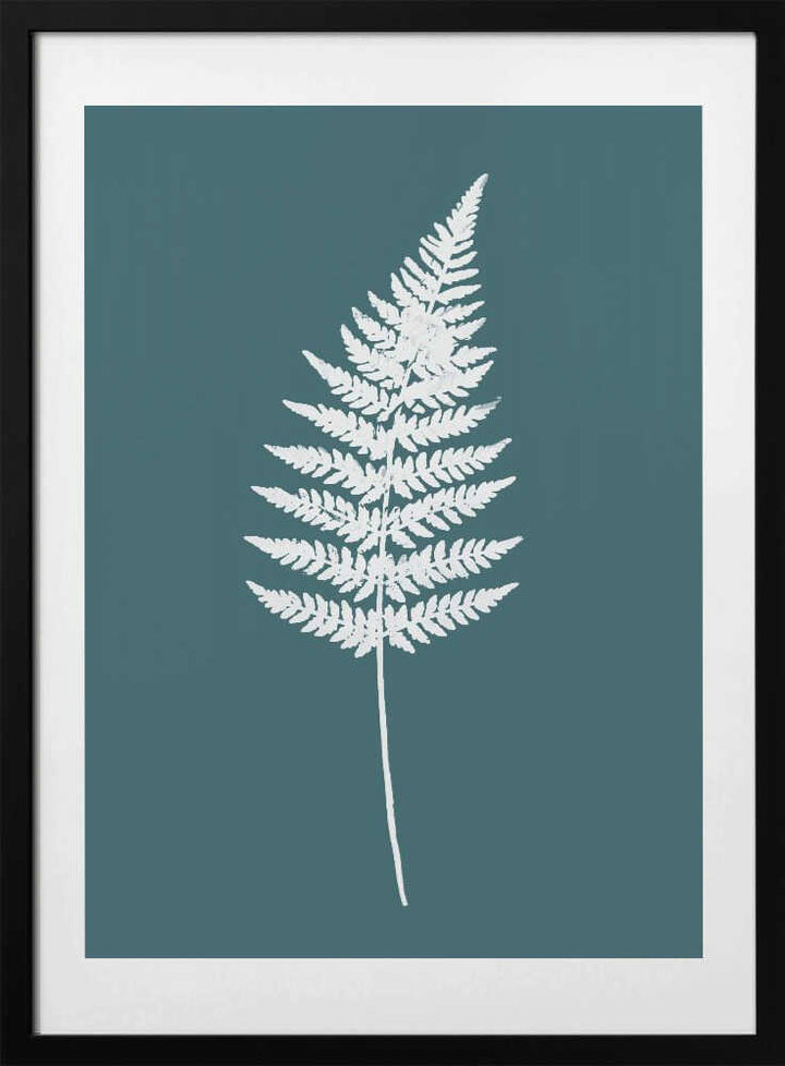 Elegant White Fern