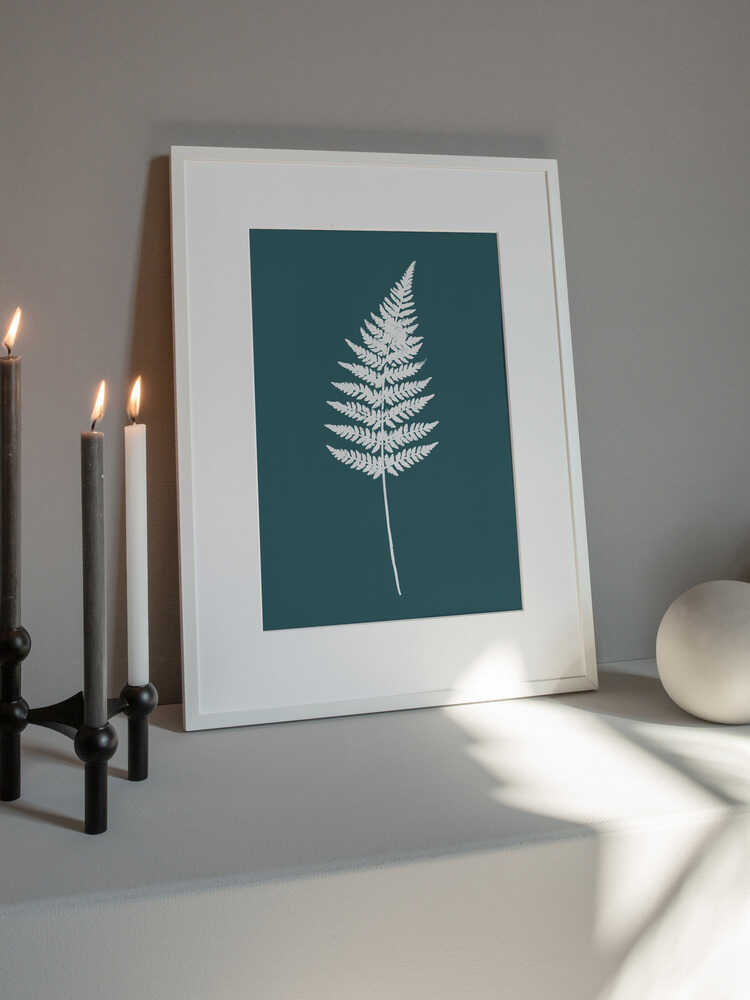 Elegant White Fern