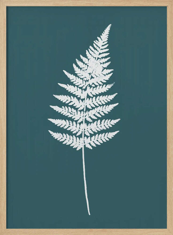 Elegant White Fern