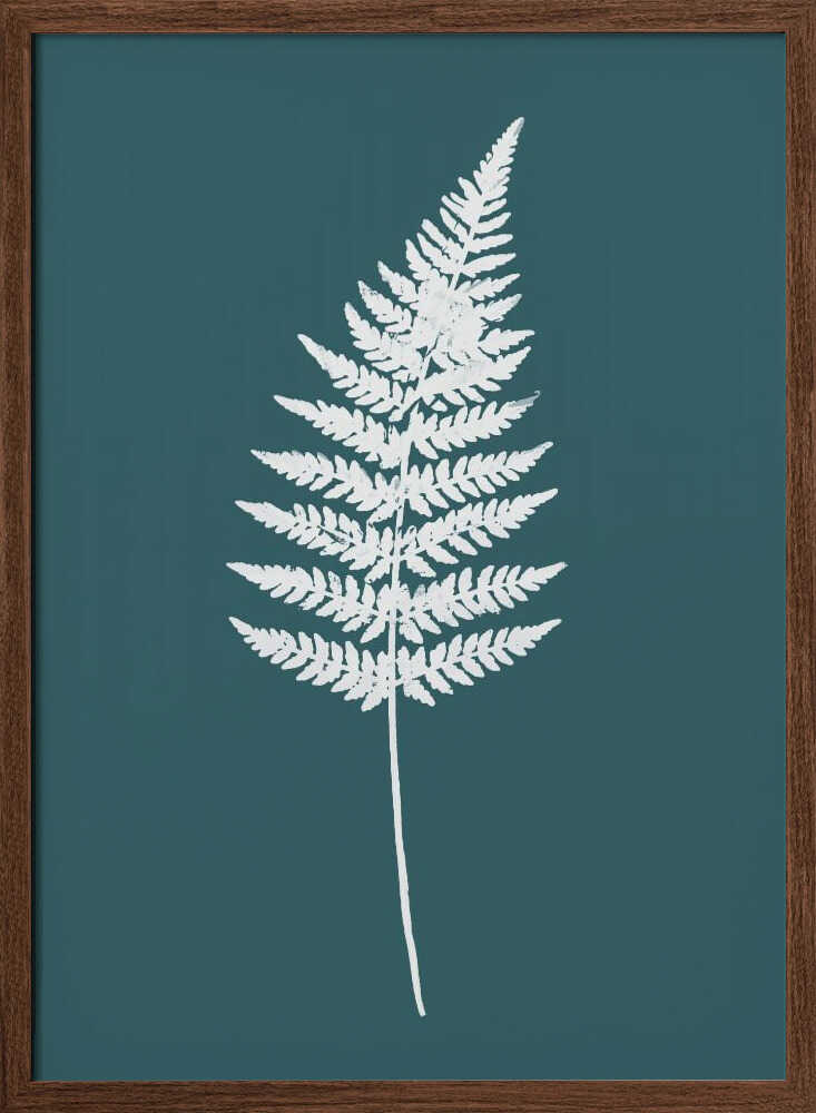 Elegant White Fern