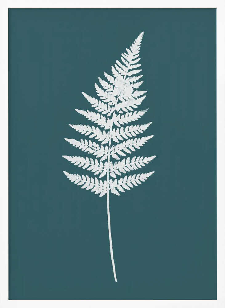Elegant White Fern