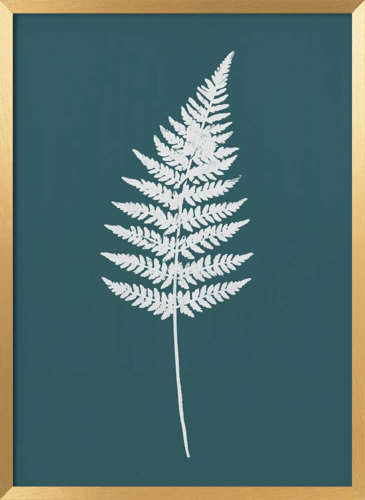 Elegant White Fern