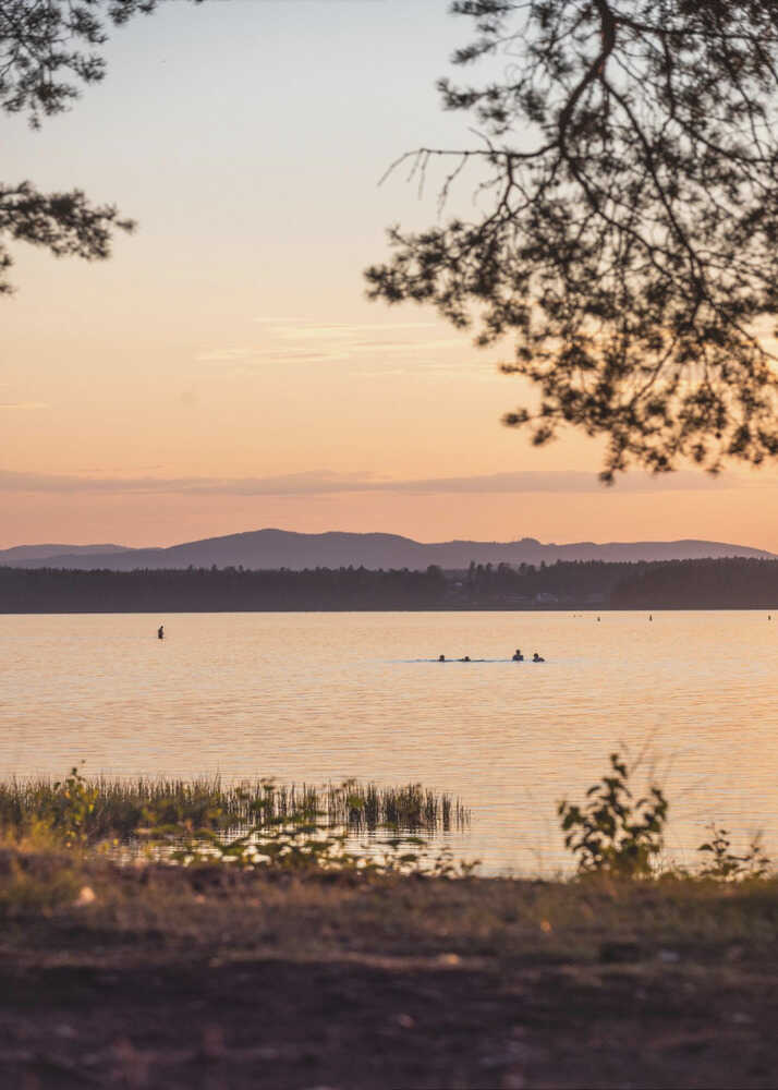 A Swedish Summer 2