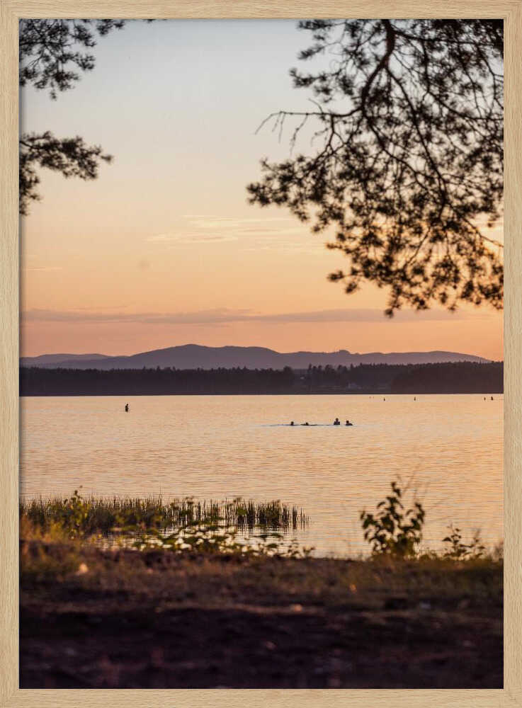 A Swedish Summer 2