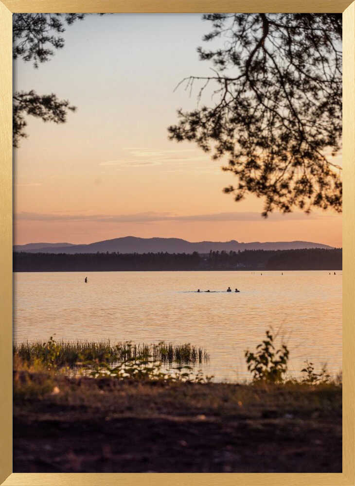 A Swedish Summer 2