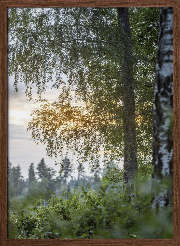 A Swedish Summer 8