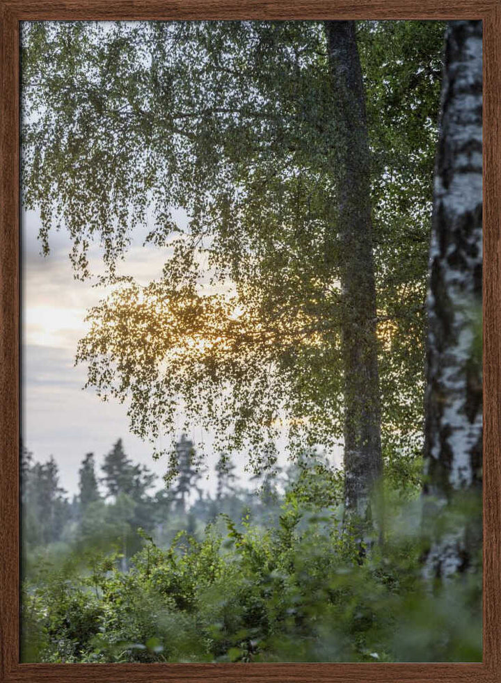 A Swedish Summer 8