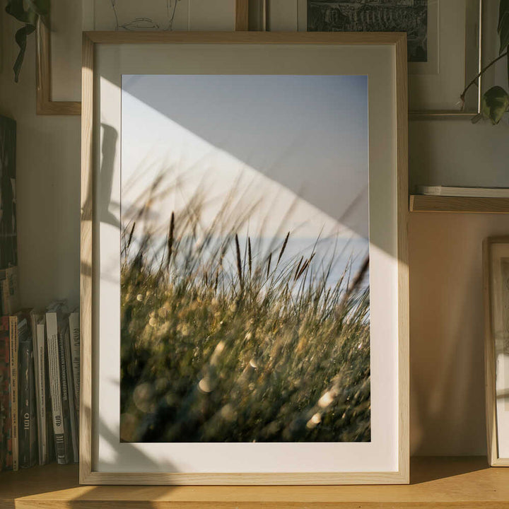 Field of Light