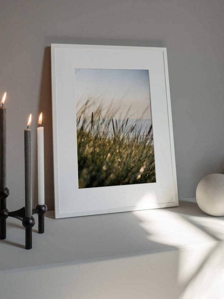 Field of Light