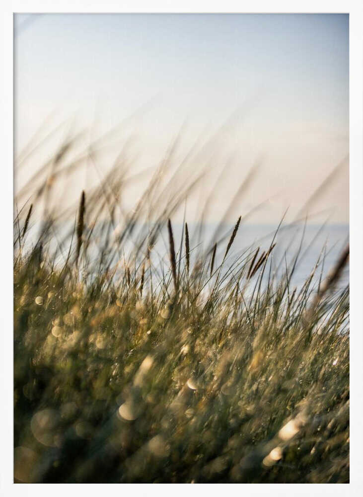 Field of Light