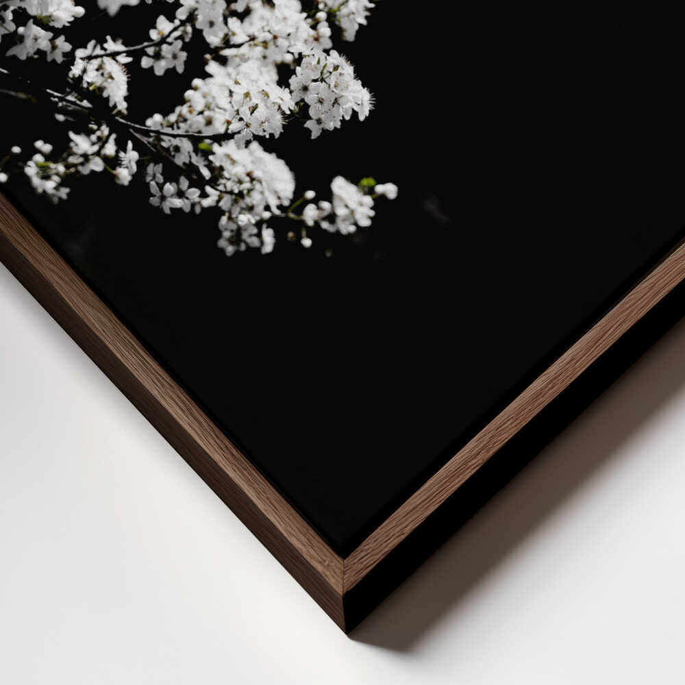 White Spring Blossoms