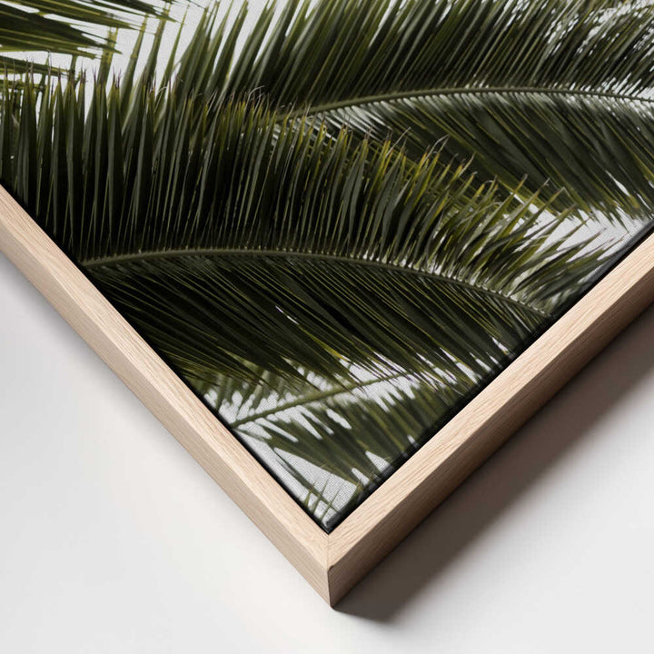 Tropical Green Palms