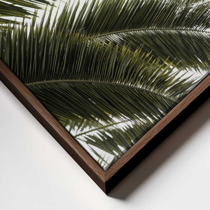 Tropical Green Palms