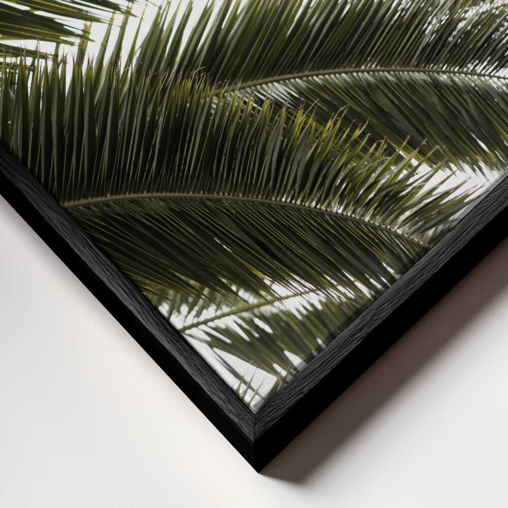 Tropical Green Palms